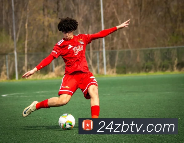 24直播官网平台生态图