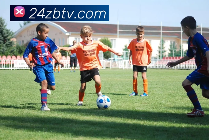 24直播官网全站App